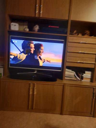 Wie heißt dein Hund?-Beitrag-Bild