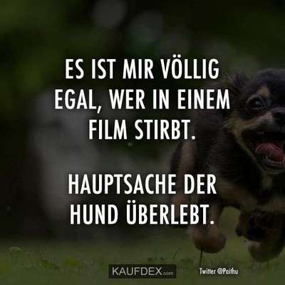 Hunde Memes-Beitrag-Bild