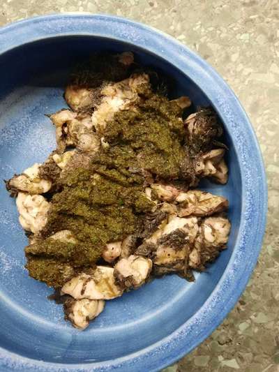 Zeigt her Eure Futternäpfe-Beitrag-Bild