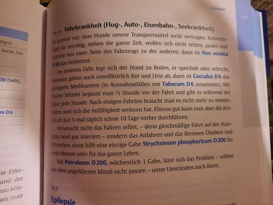 Reisekrankheit-Beitrag-Bild