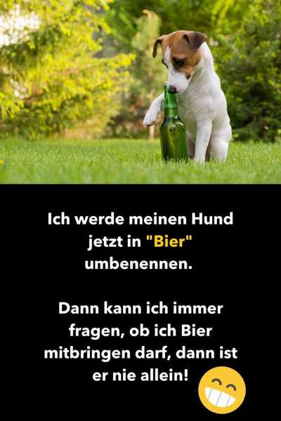 Hunde Memes-Beitrag-Bild