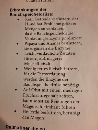 Fettarmes Futter bei leichten Bauchspeicheldrüsenproblemen-Beitrag-Bild