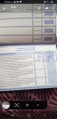 Hund aus Bulgarien ?-Beitrag-Bild