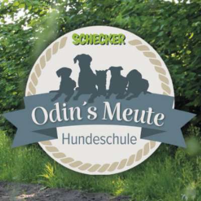 Hundeschulen-Odins Meute-Bild