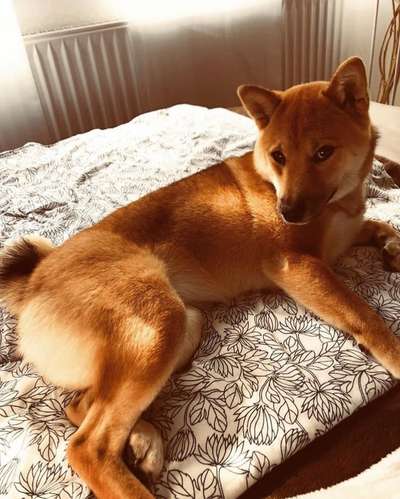 Doppelgänger gesucht !-Beitrag-Bild