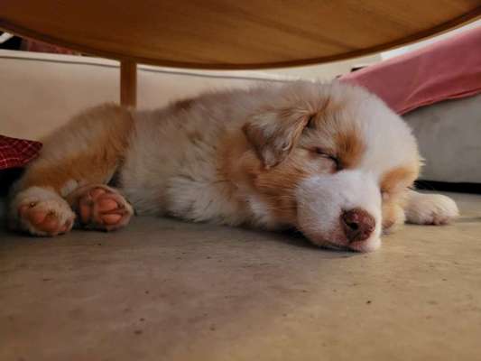 Foto Challenge Nr. 134-Beitrag-Bild