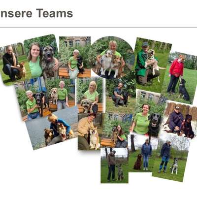 Hundeschulen-Hundesportverein Meißen-Nassau e.V.-Bild