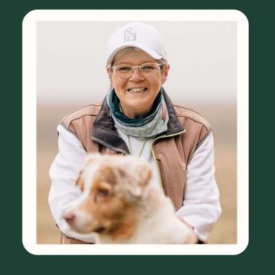 Hundeschulen-Socialdog Rottweil-Bild