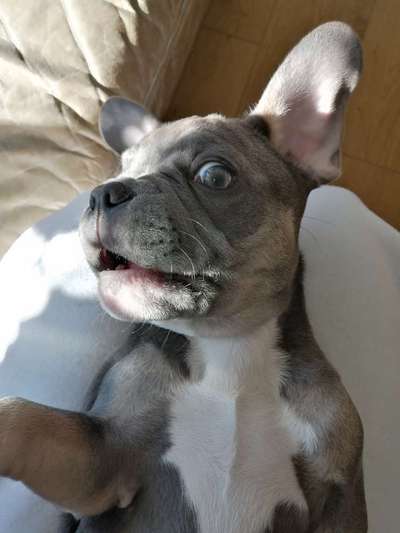 Lustige Grimassen & verrückte Posen-Beitrag-Bild