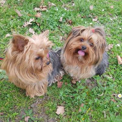 Waltraut's Profilbild