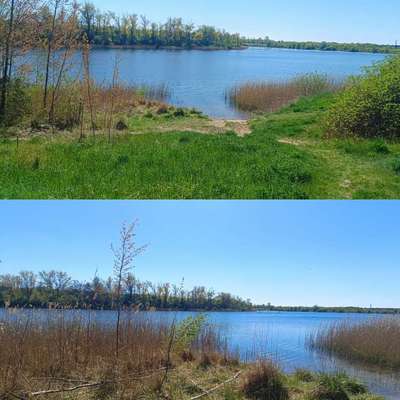 Hundeauslaufgebiet-Hufeisensee-Bild