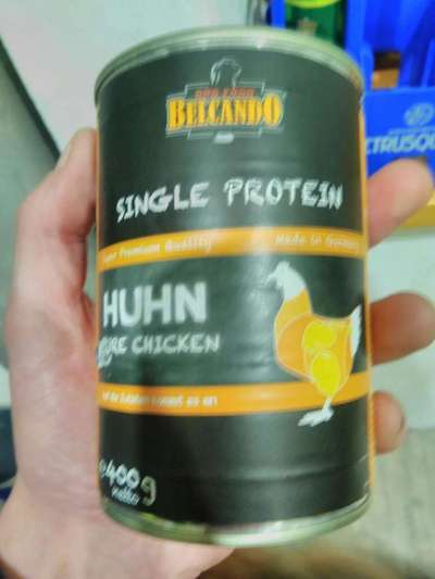 Futter Unverträglichkeit-Beitrag-Bild