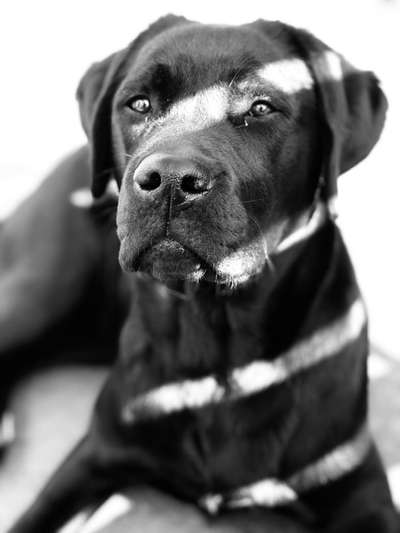 Foto-Challenge 76: Foto in Schwarz-Weiss-Beitrag-Bild