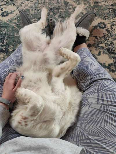 Die unbequemsten und lustigsten Schlafpositionen-Beitrag-Bild