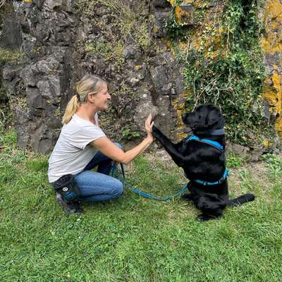 Hundetreffen-Gassirunde,  Spielen, Training