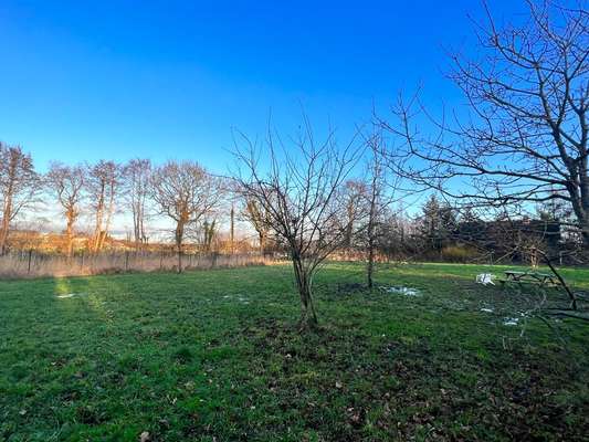 Hundeauslaufgebiet-Hundeplatz Silberstedt-Bild