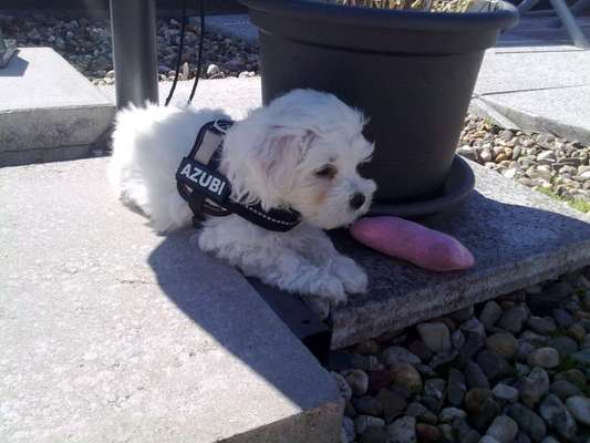 Fotochallange Nummer 5-Beitrag-Bild