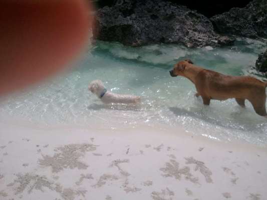 Theos Fotochallange Nummer 4-Beitrag-Bild