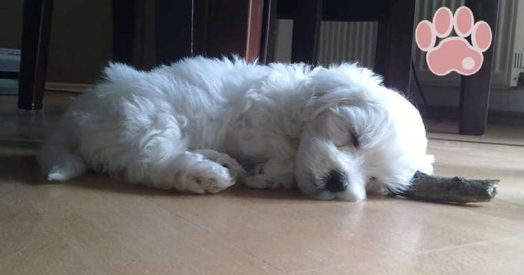 Erstes Bild-Beitrag-Bild