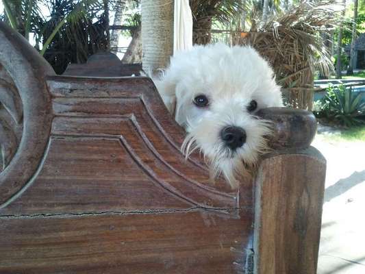 Lieblingsbild-Beitrag-Bild