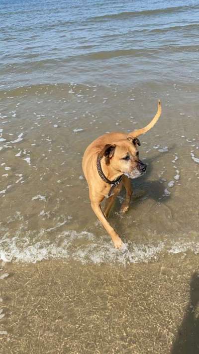 Theos Fotochallange Nummer 4-Beitrag-Bild