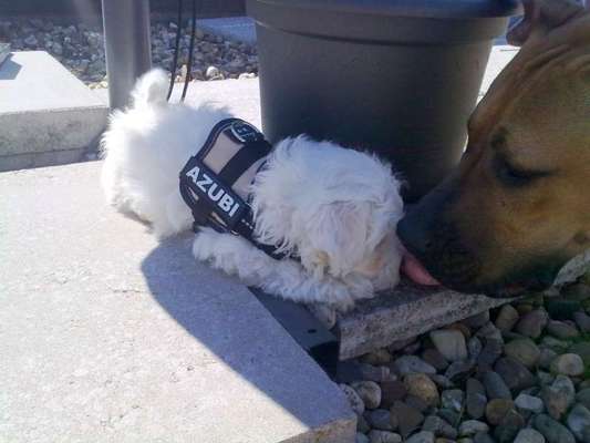 Erstes Bild-Beitrag-Bild