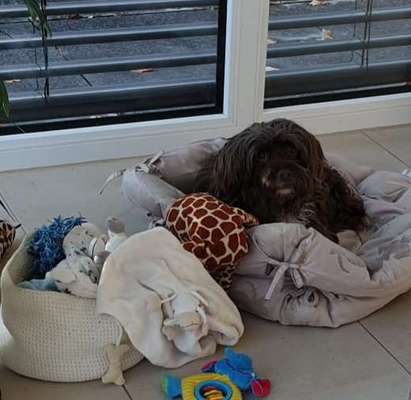 Fotochallange Nummer 5-Beitrag-Bild