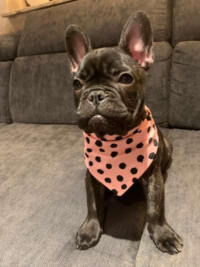 Lieblingsbild-Beitrag-Bild