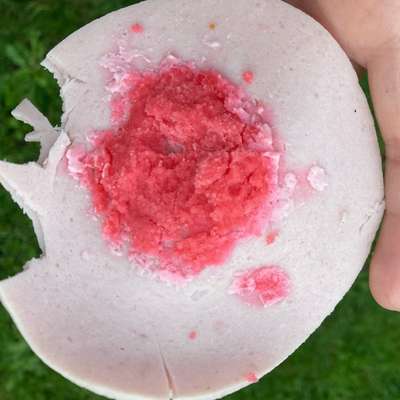 Giftköder-Wurst mit vermeintlichen Giftköder-Bild