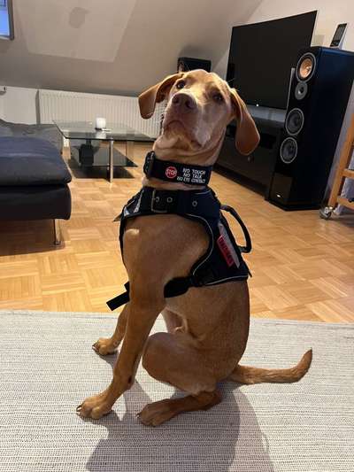 Lieblingsbild-Beitrag-Bild