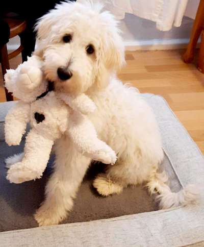 147. Foto Challenge: Bettelblick-Beitrag-Bild