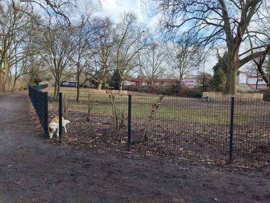 Hundeauslaufgebiet-Lichterfelde Barnackufer-Bild