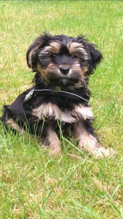 Sie werden so schnell erwachsen ...-Beitrag-Bild