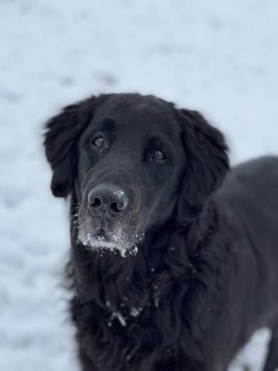 Lieblingsbild-Beitrag-Bild