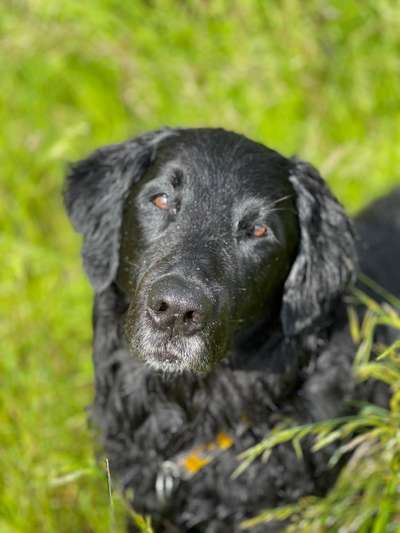 Fotochallange Nr. 57     PORTRÄT.   Beendet!!!!!!!!-Beitrag-Bild