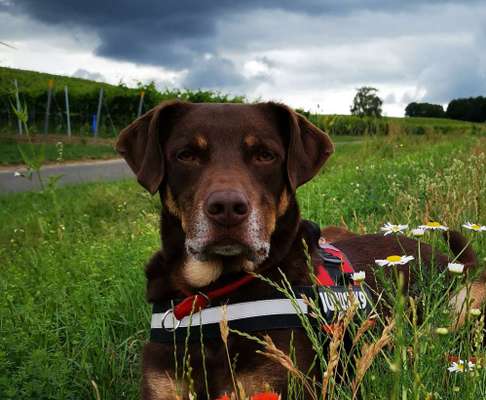 Fotochallange Nr. 57     PORTRÄT.   Beendet!!!!!!!!-Beitrag-Bild