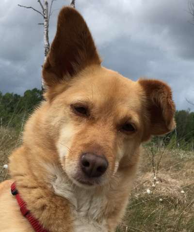 Fotochallange Nr. 57     PORTRÄT.   Beendet!!!!!!!!-Beitrag-Bild