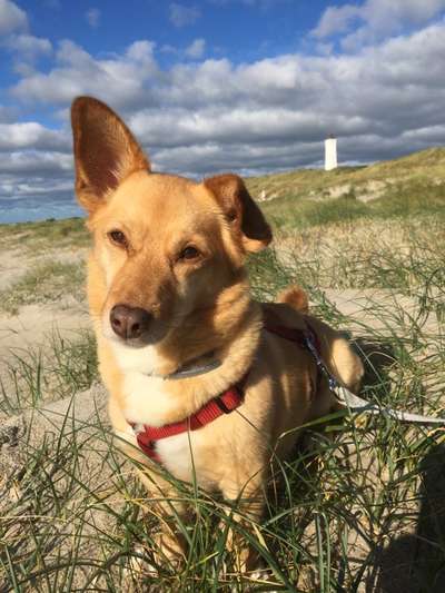 Lieblingsbild-Beitrag-Bild