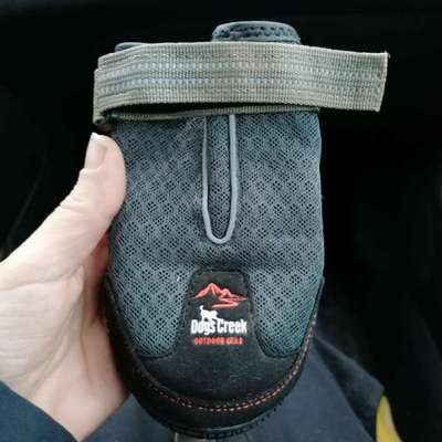 Hundeschuhe-Beitrag-Bild