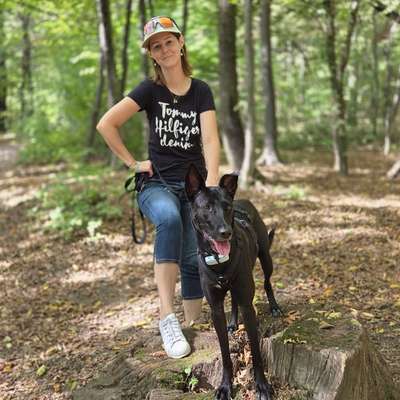 Hundetreffen-Kira sucht immer wen zum spielen!-Profilbild