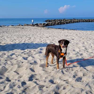 Melanie's Profilbild