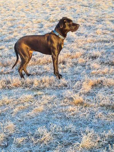 Dogorama Photo Challenge - Der Frühling kommt-Beitrag-Bild