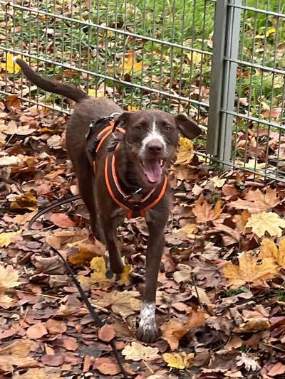 Fotochallenge Nr.122-Beitrag-Bild