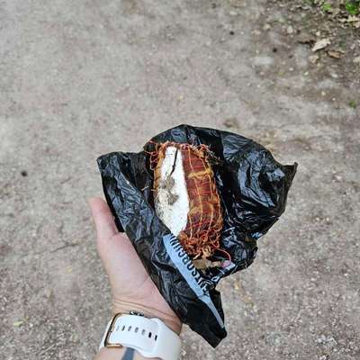 Giftköder-Vermeintliche Giftköder am Waldrand-Bild