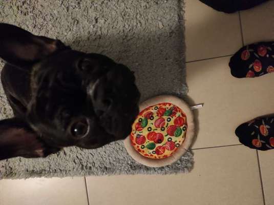 Dogorama Photo Challenge - Lieblingsspielzeug!-Beitrag-Bild