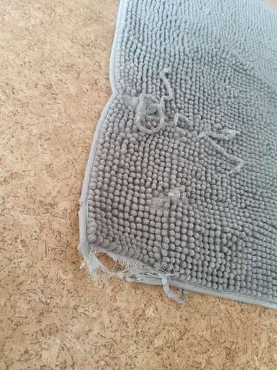 Zeig mir, dass du mit einem hund zusammenlebst....-Beitrag-Bild