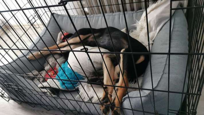 LUSTIGE FOTOS! WER KANN MITHALTEN?-Beitrag-Bild