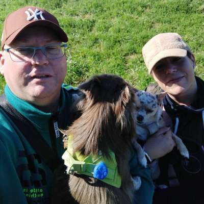 Hundetreffen-Gassirunde mit den Bensch's 🩵🩷
