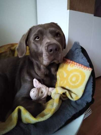 28. Handy-Fotochallenge - Damals und heute-Beitrag-Bild