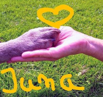 14. Handyfoto-Challenge: "BUDDY-Builder"-Beitrag-Bild